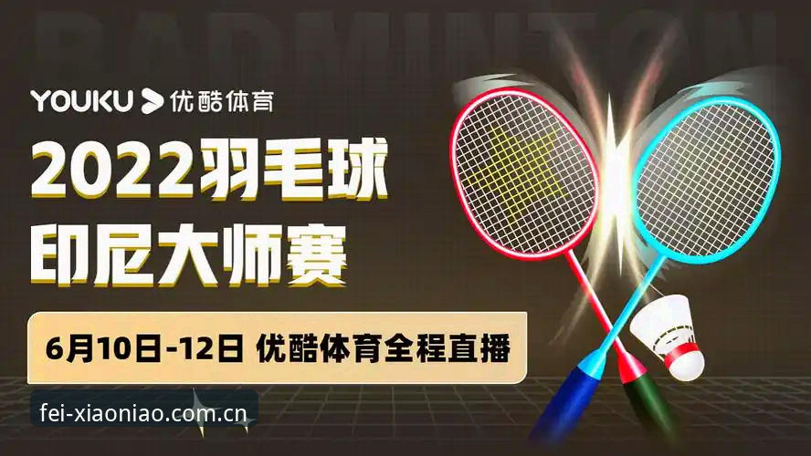 小鸟体育赛事直播安装失败问题详解与解决策略