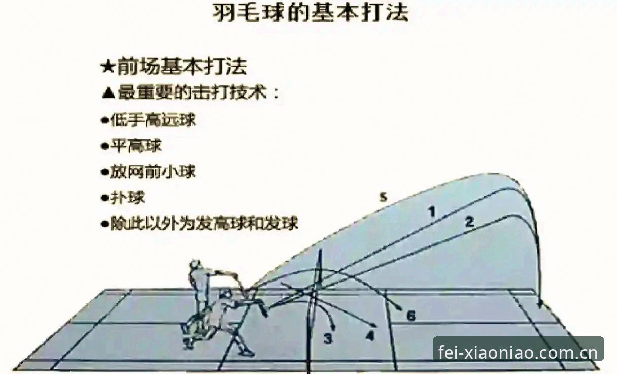 小鸟体育体育赛事推荐全攻略：新手快速上手操作教程